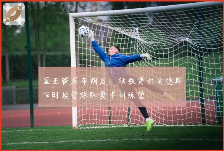 国王解雇布朗后，助教费尔南德斯临时接管球队夏季训练营