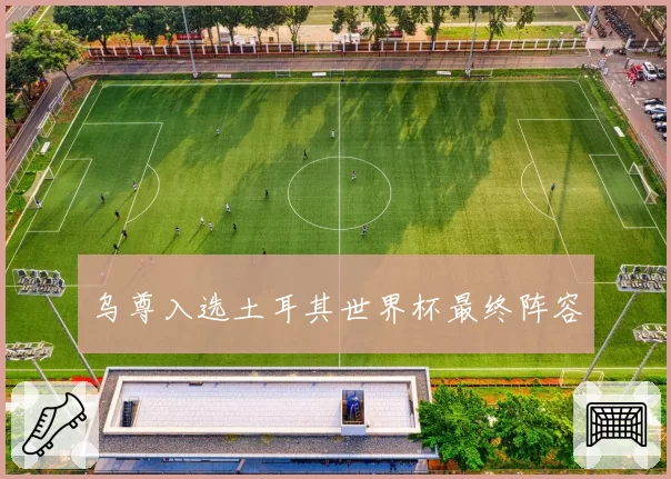 乌尊入选土耳其世界杯最终阵容