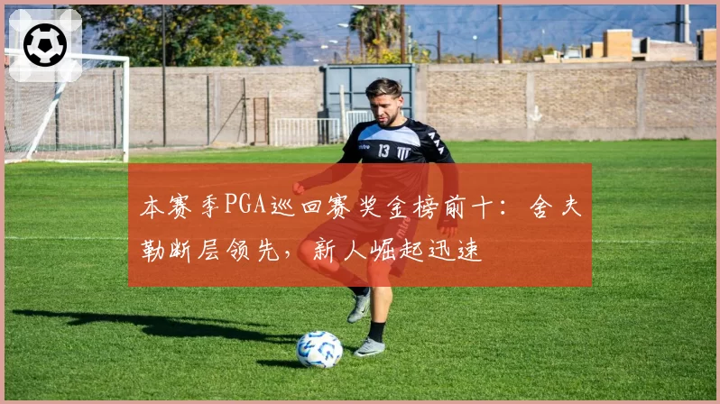 本赛季PGA巡回赛奖金榜前十：舍夫勒断层领先，新人崛起迅速