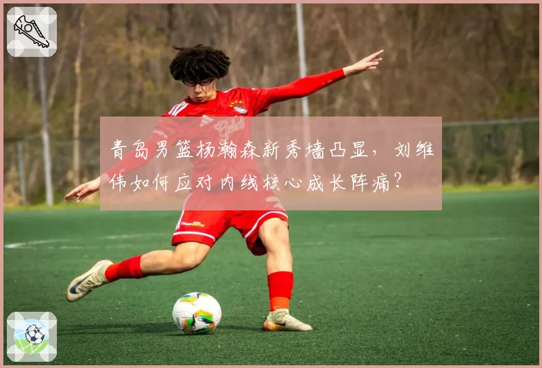 青岛男篮杨瀚森新秀墙凸显，刘维伟如何应对内线核心成长阵痛？