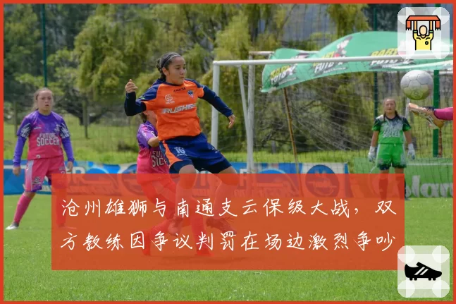 沧州雄狮与南通支云保级大战，双方教练因争议判罚在场边激烈争吵