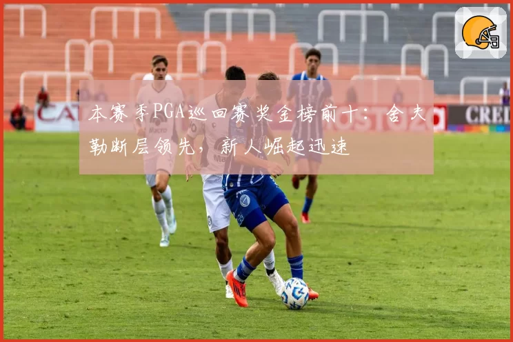 本赛季PGA巡回赛奖金榜前十：舍夫勒断层领先，新人崛起迅速